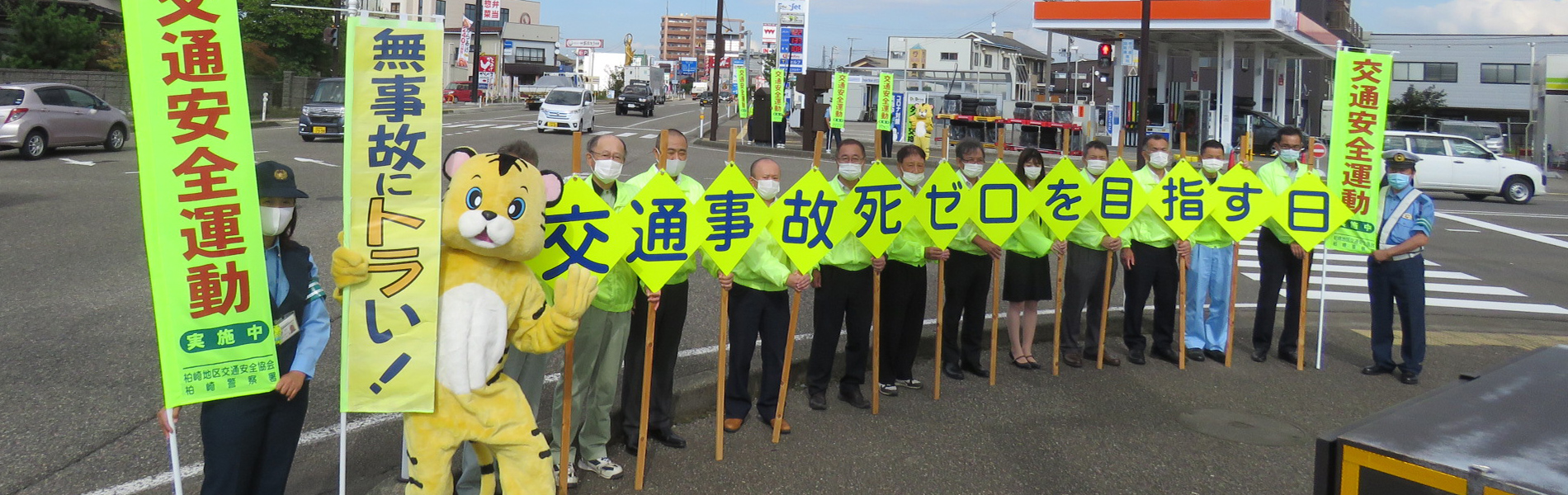 協会の活動